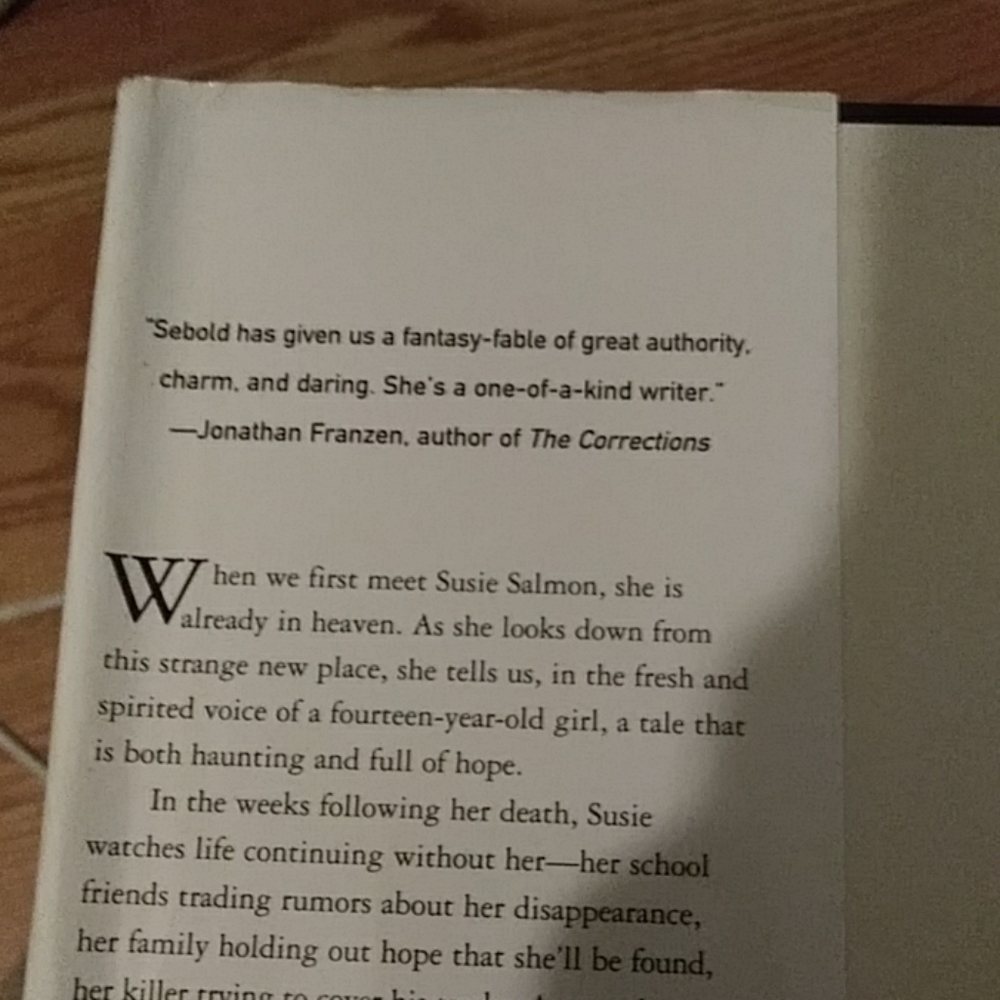 Novel - Picture 3 of 4